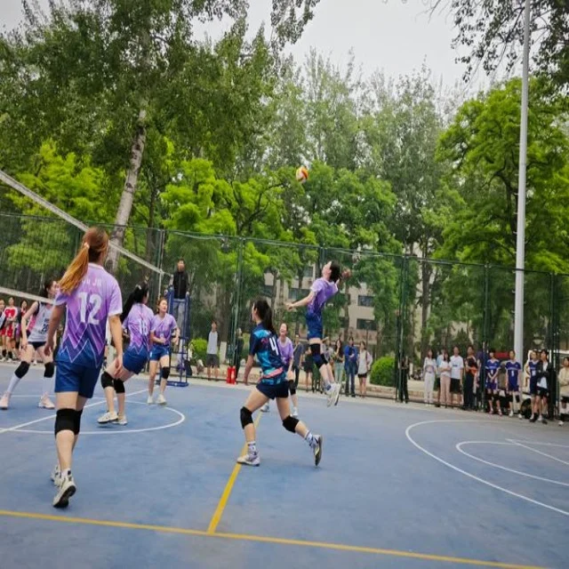 陈雨菲复出之路：挑战与机遇并存
